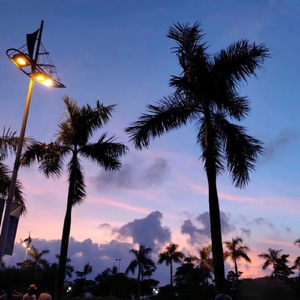 久久做爱激情视频
