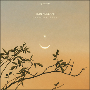 久久做爱激情视频
